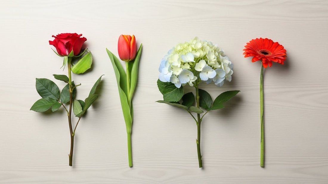 How to Keep a Bouquet Fresh Longer: Real Tips That Actually Work