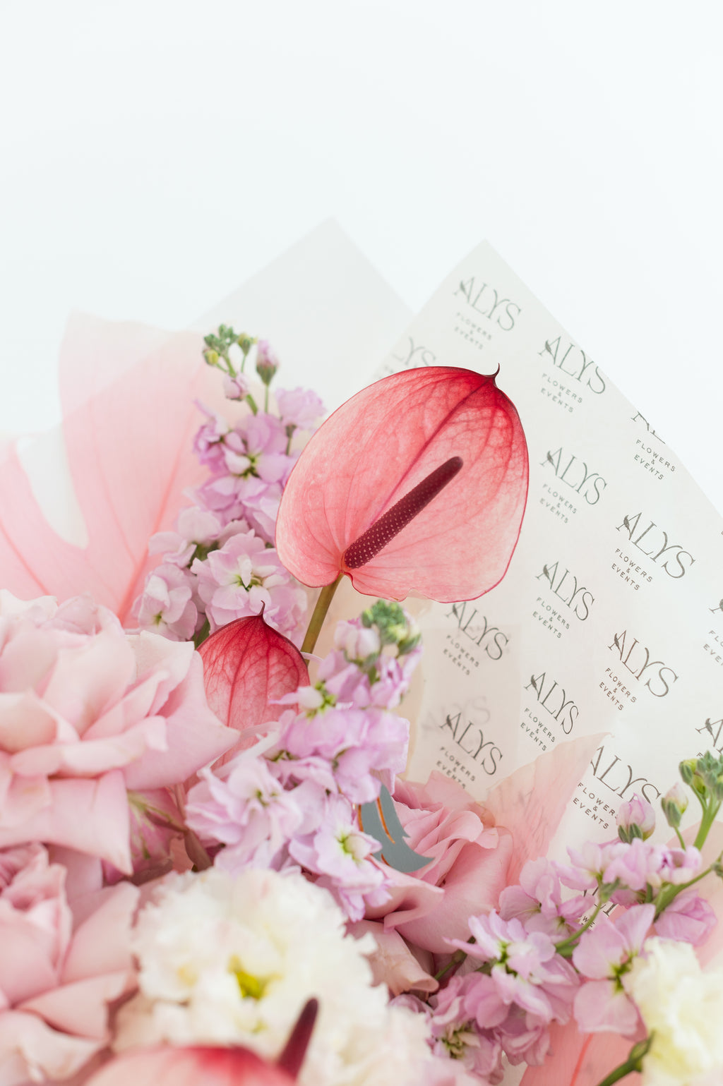 Goddess of love  & beauty - Boxed flowers