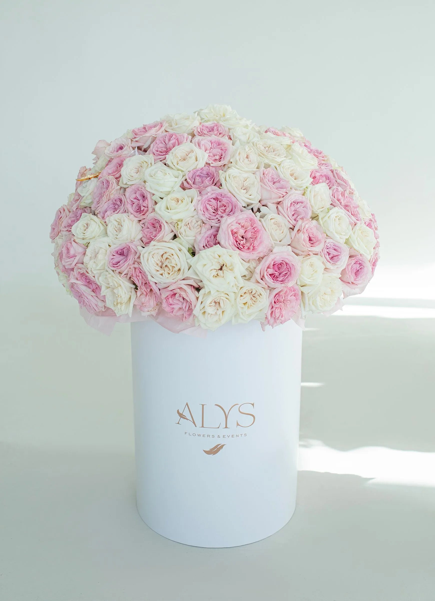 White & Pink O'Hara Mix Box