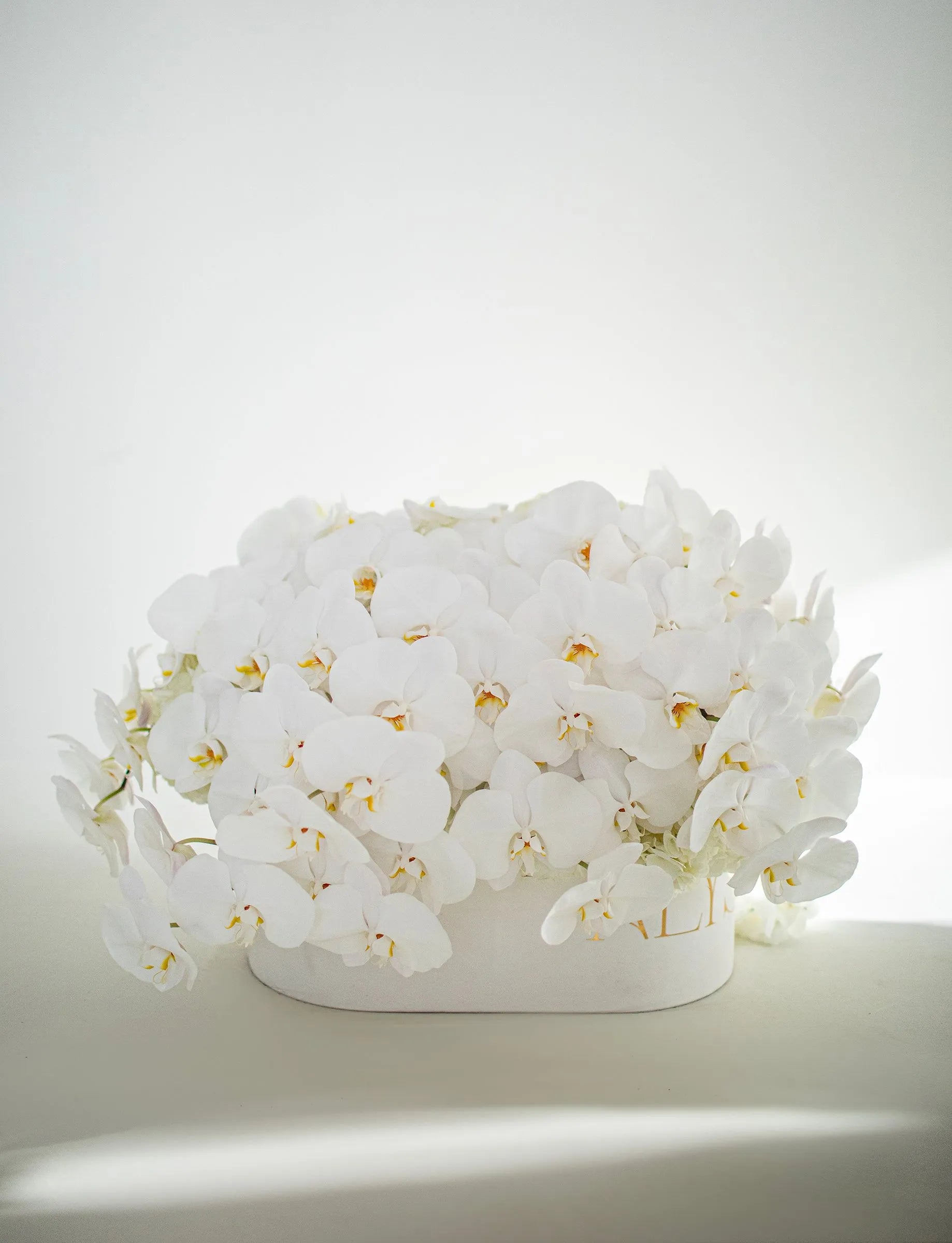 Luxury phalaenopsis orchid arrangement in signature gift box by ALys Studio Dubai