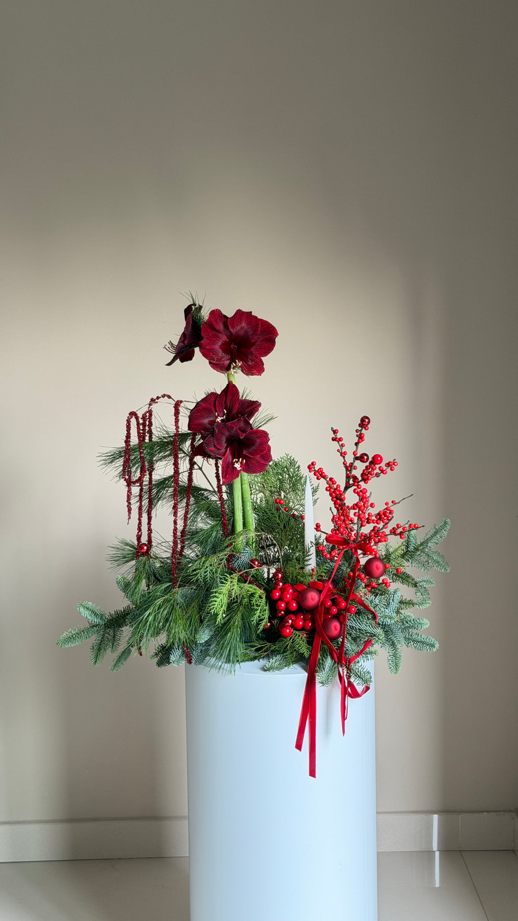 Silent Night with Amaryllis