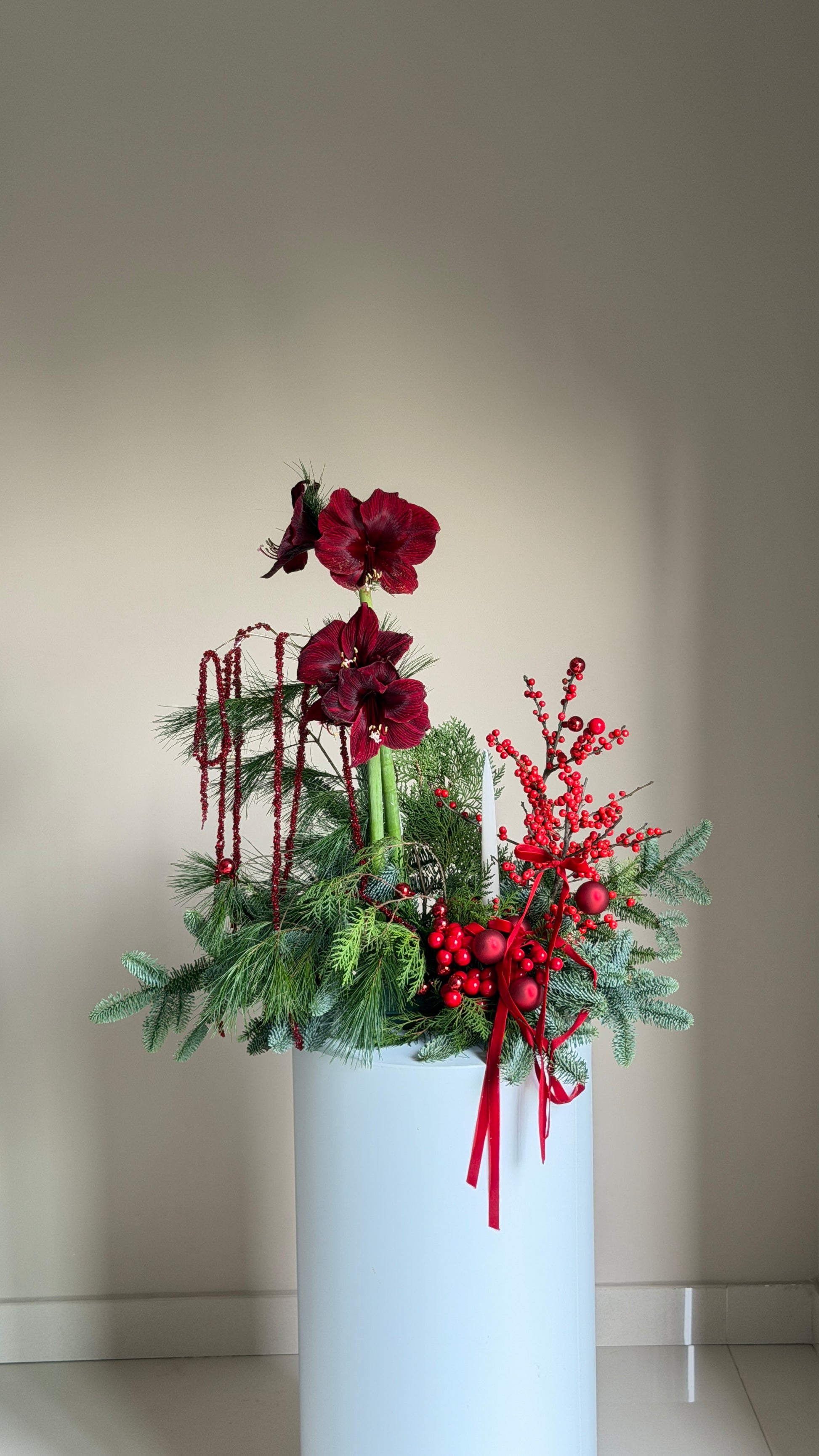 Silent Night with Amaryllis