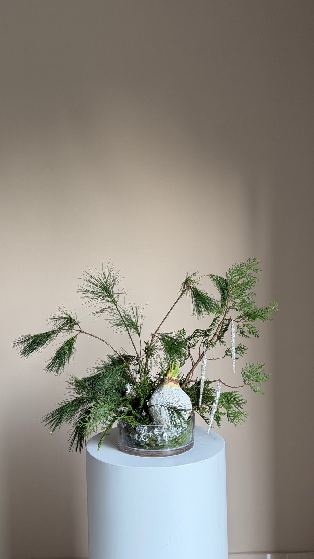 Crystal Winter with Amaryllis