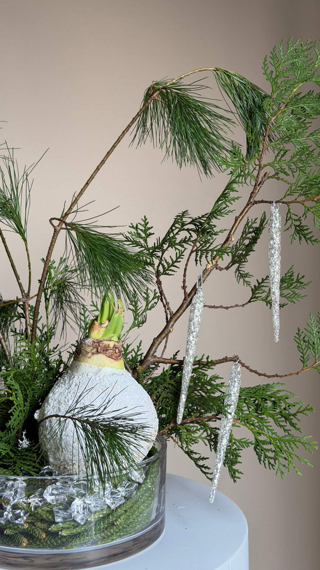 Crystal Winter with Amaryllis