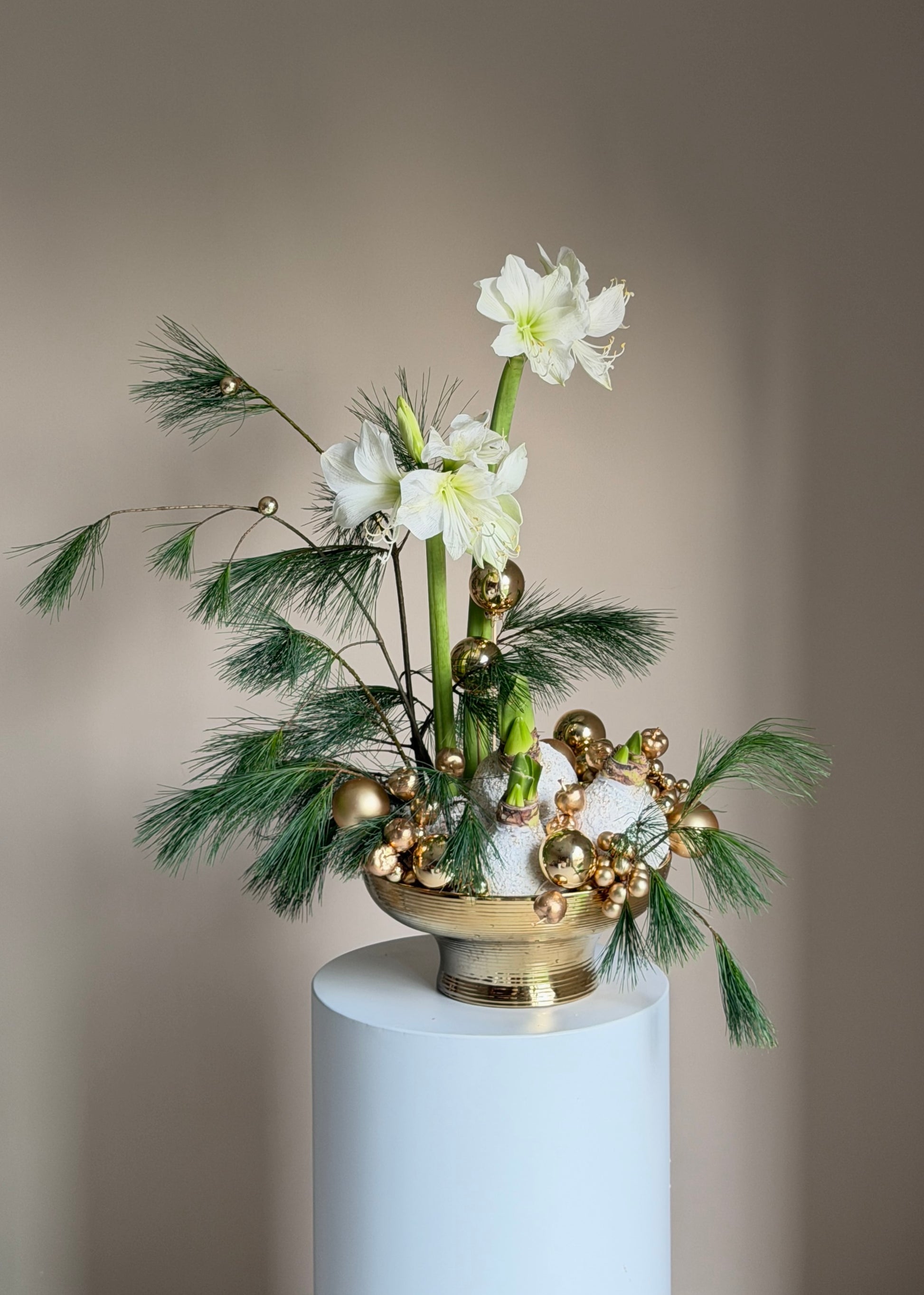 The Golden Christmas Story