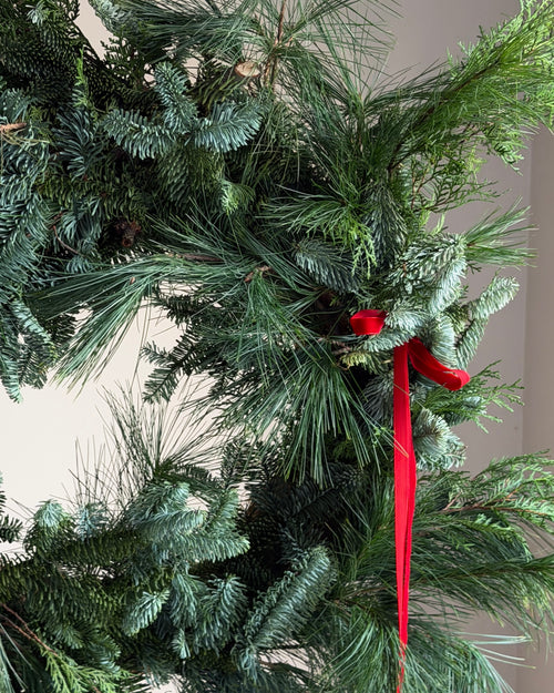 A wreath of living pine needles "Winter Forest"