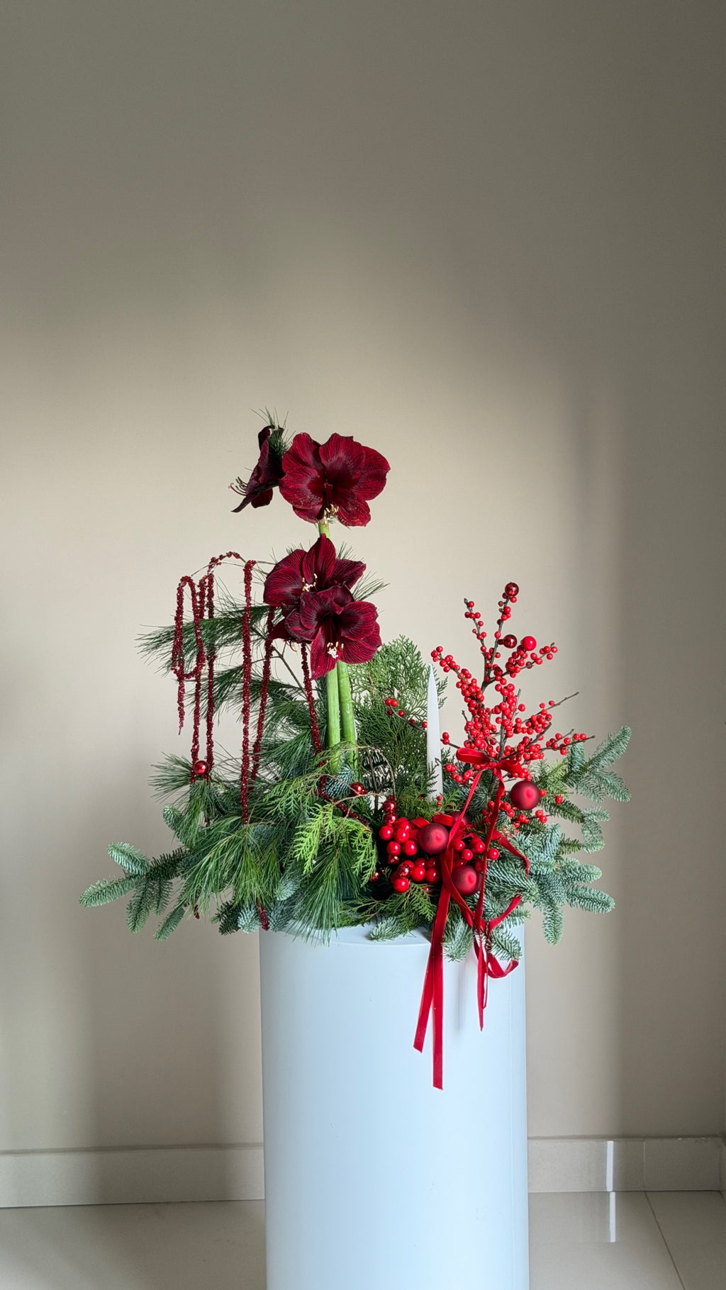 Silent Night with Amaryllis