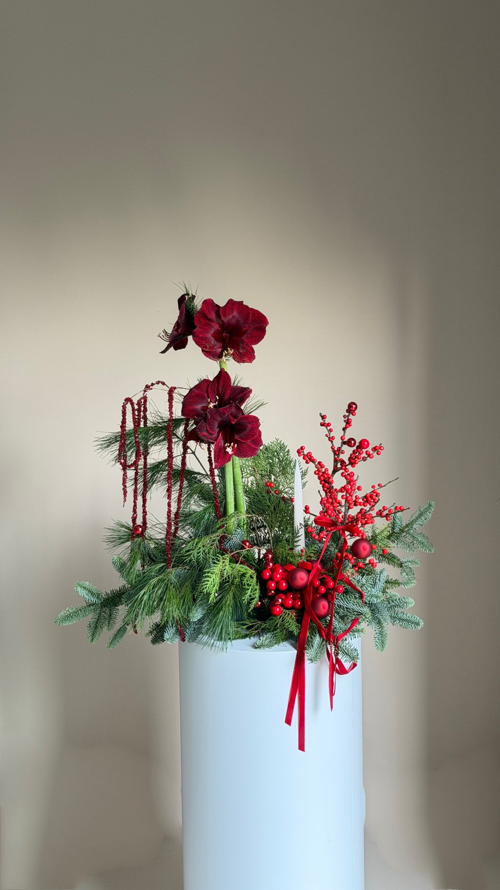 Silent Night with Amaryllis