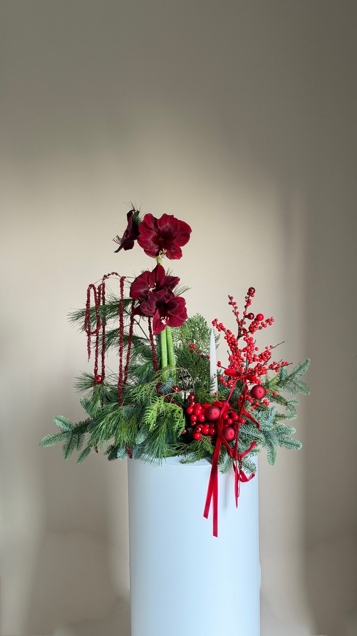 Silent Night with Amaryllis