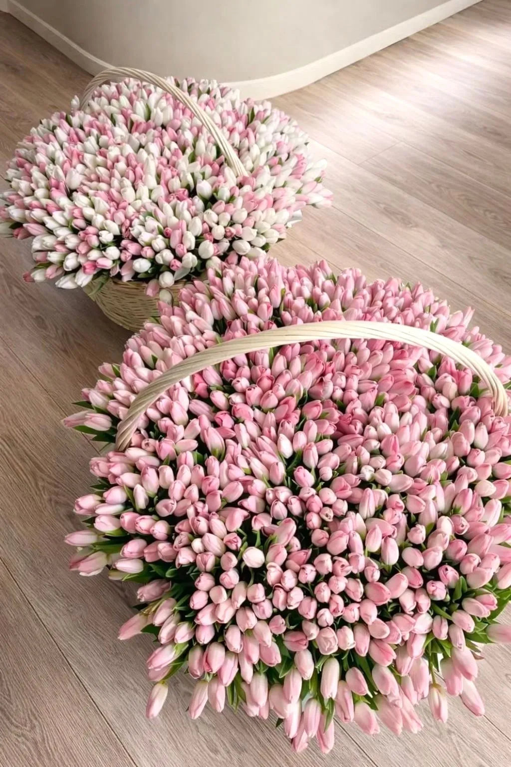 Oversized wow basket of fresh tulips by ALys Studio Dubai