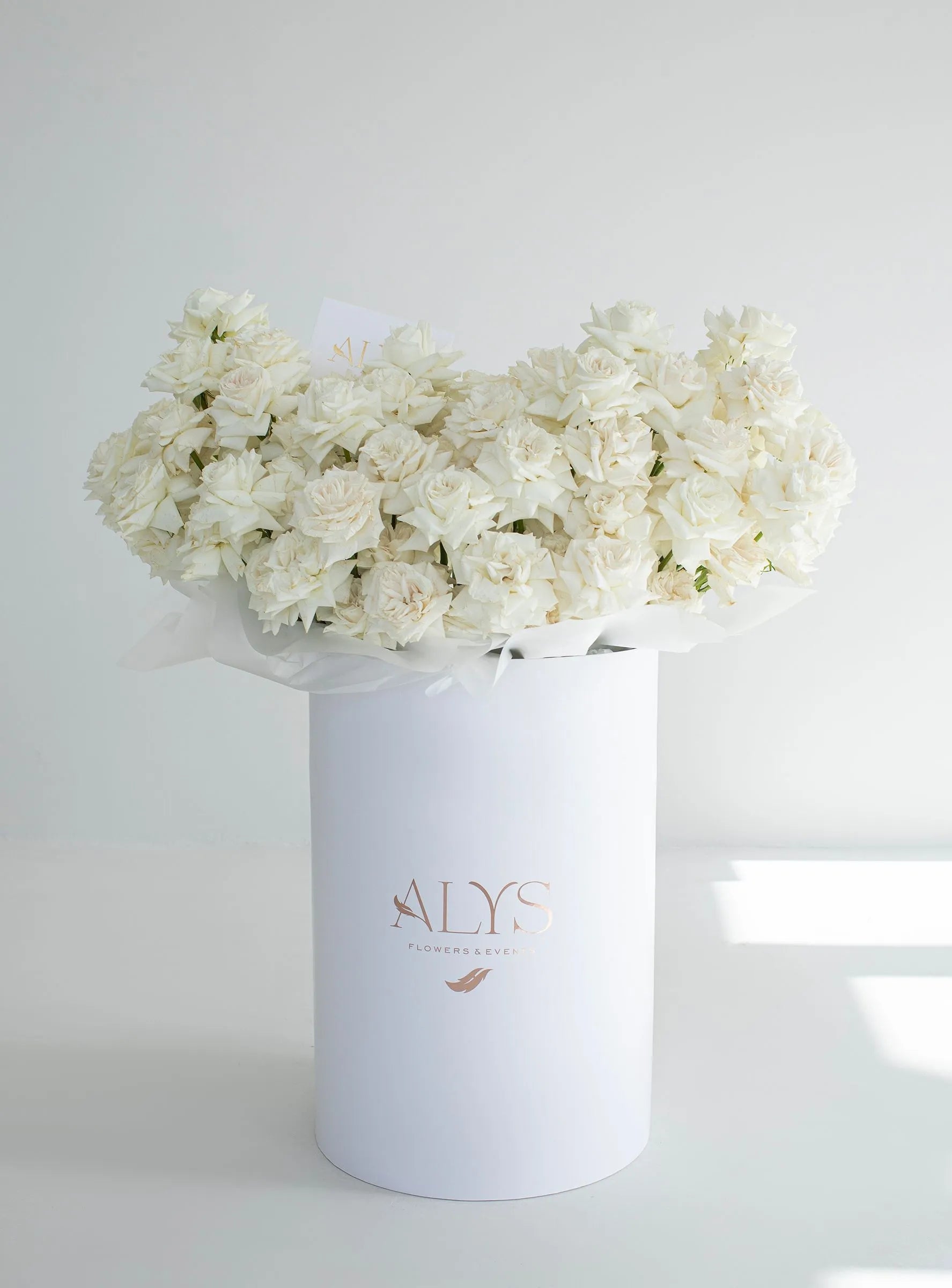 White French Roses - Playa Blanca