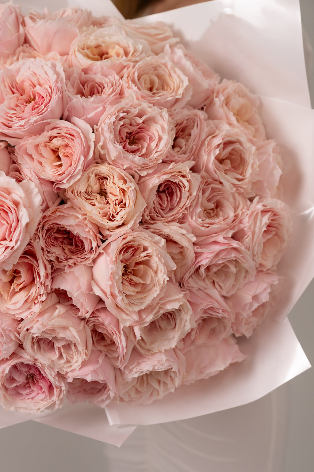 Babe, You Deserve Better