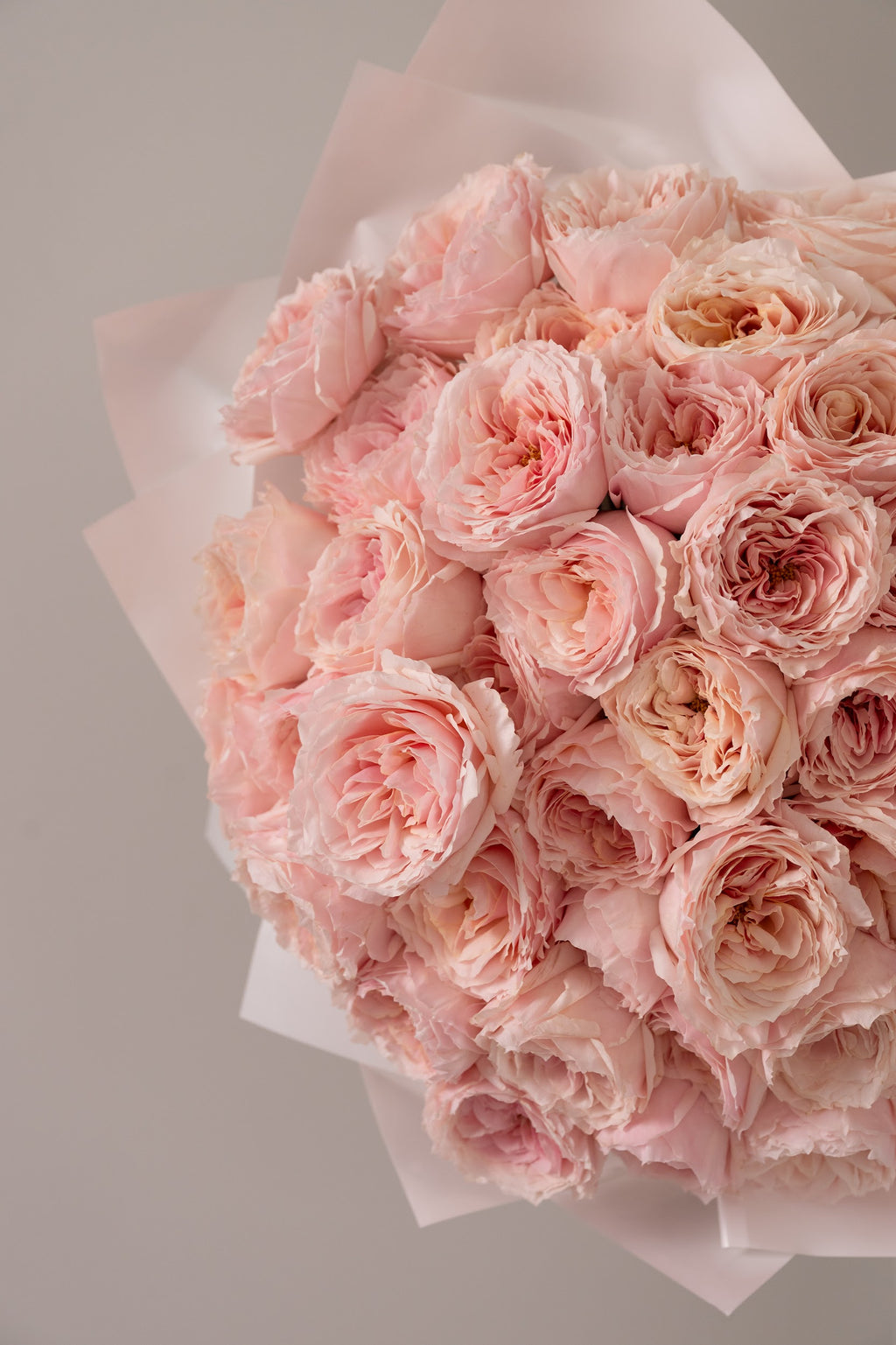 Babe, You Deserve Better