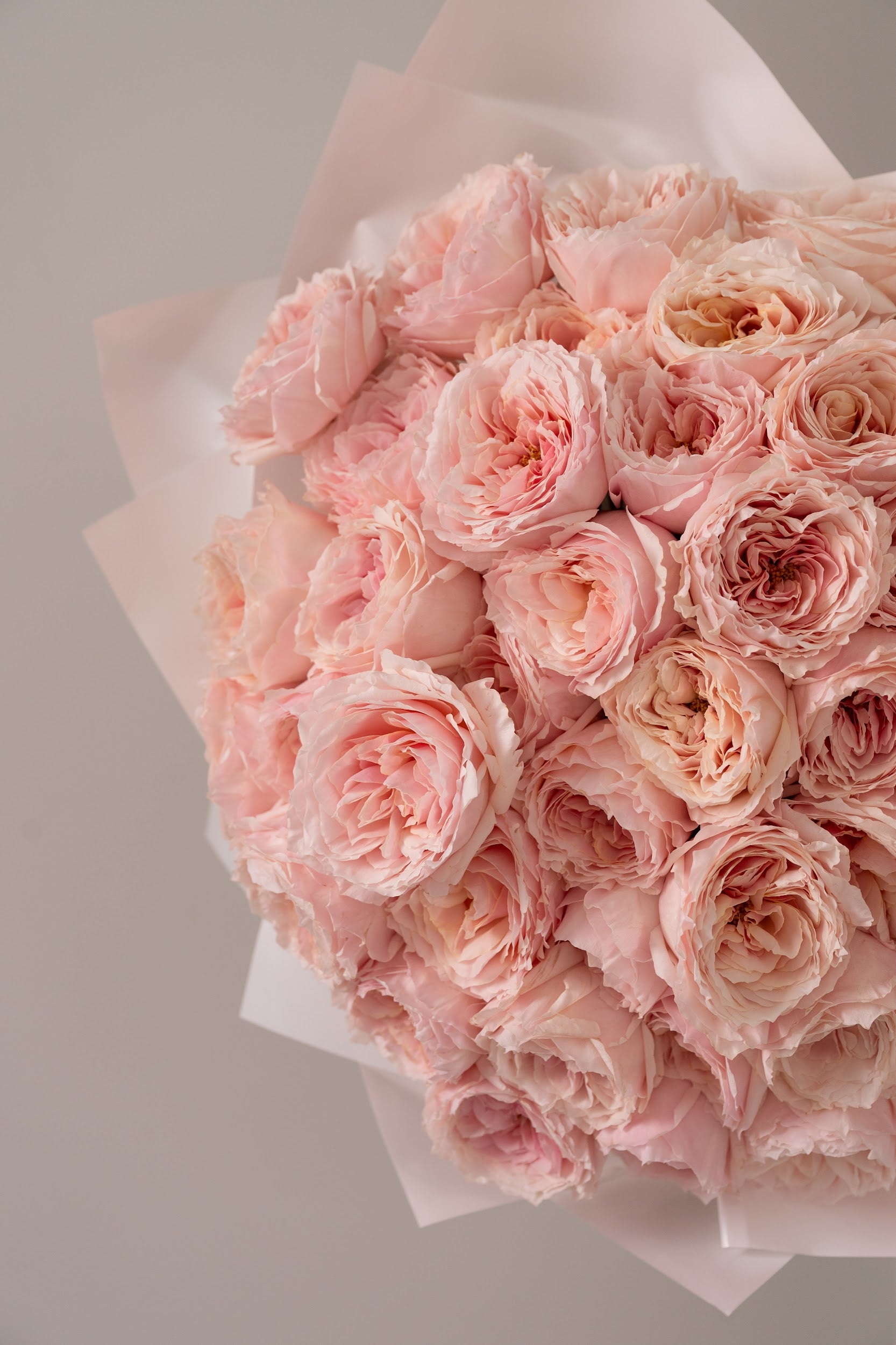 الورود اليابانية الفاخرة