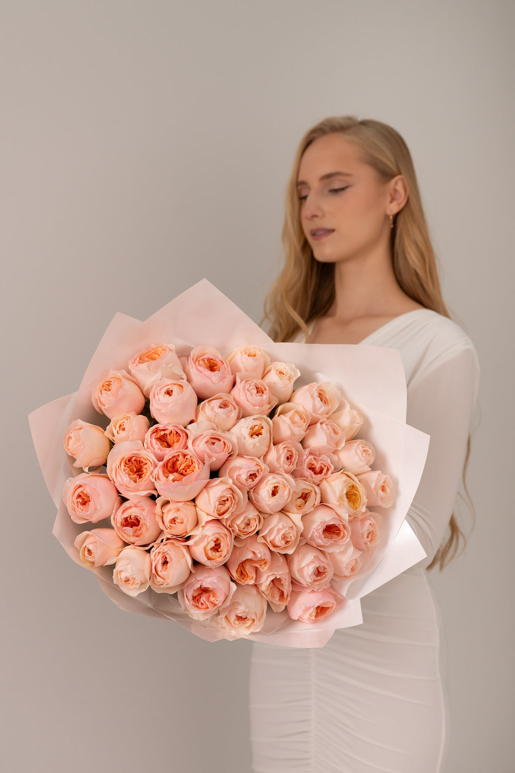 Luxury peony roses Julietta