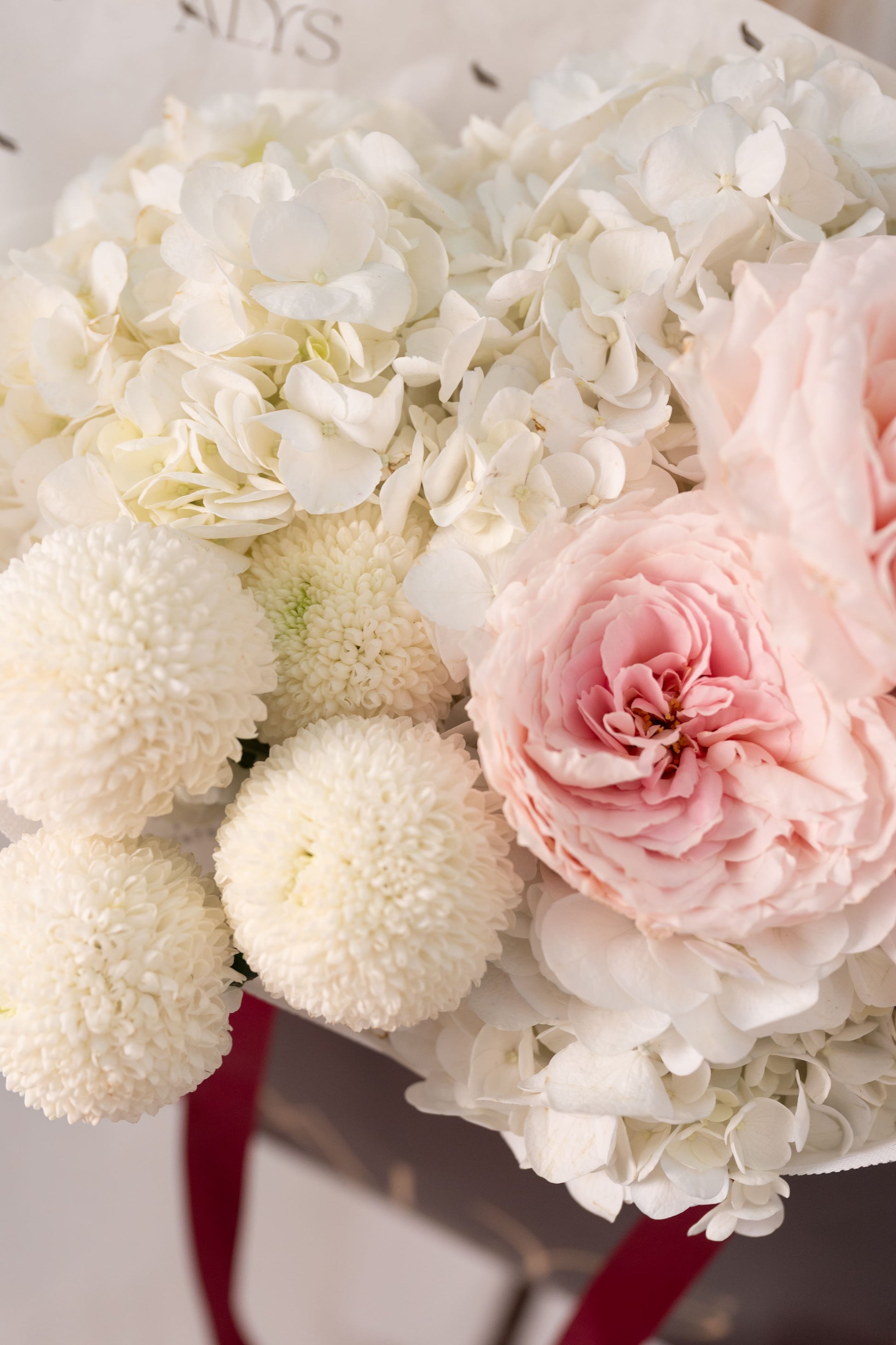 الأميرة الصغيرة