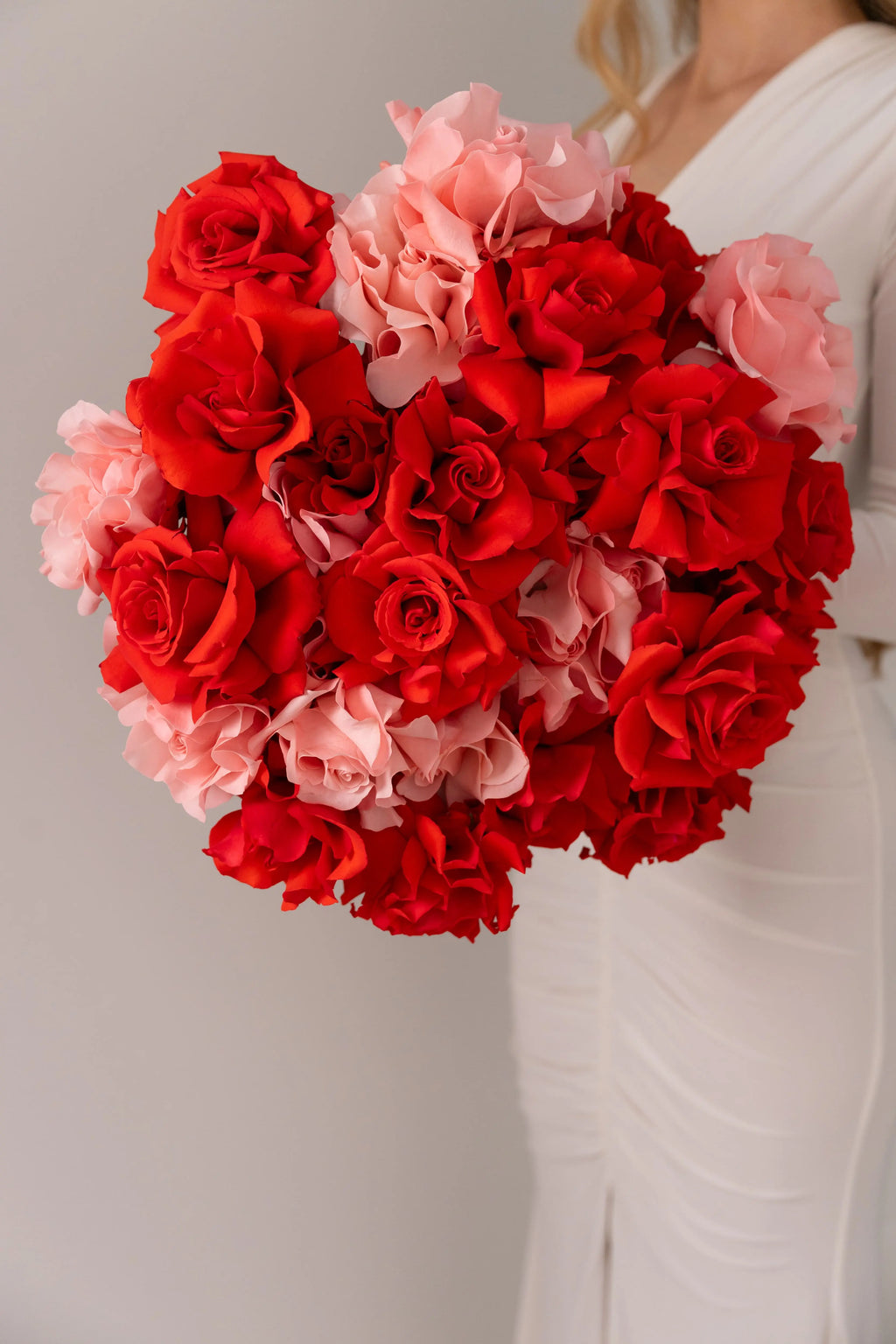 French roses Nina + Hermosa