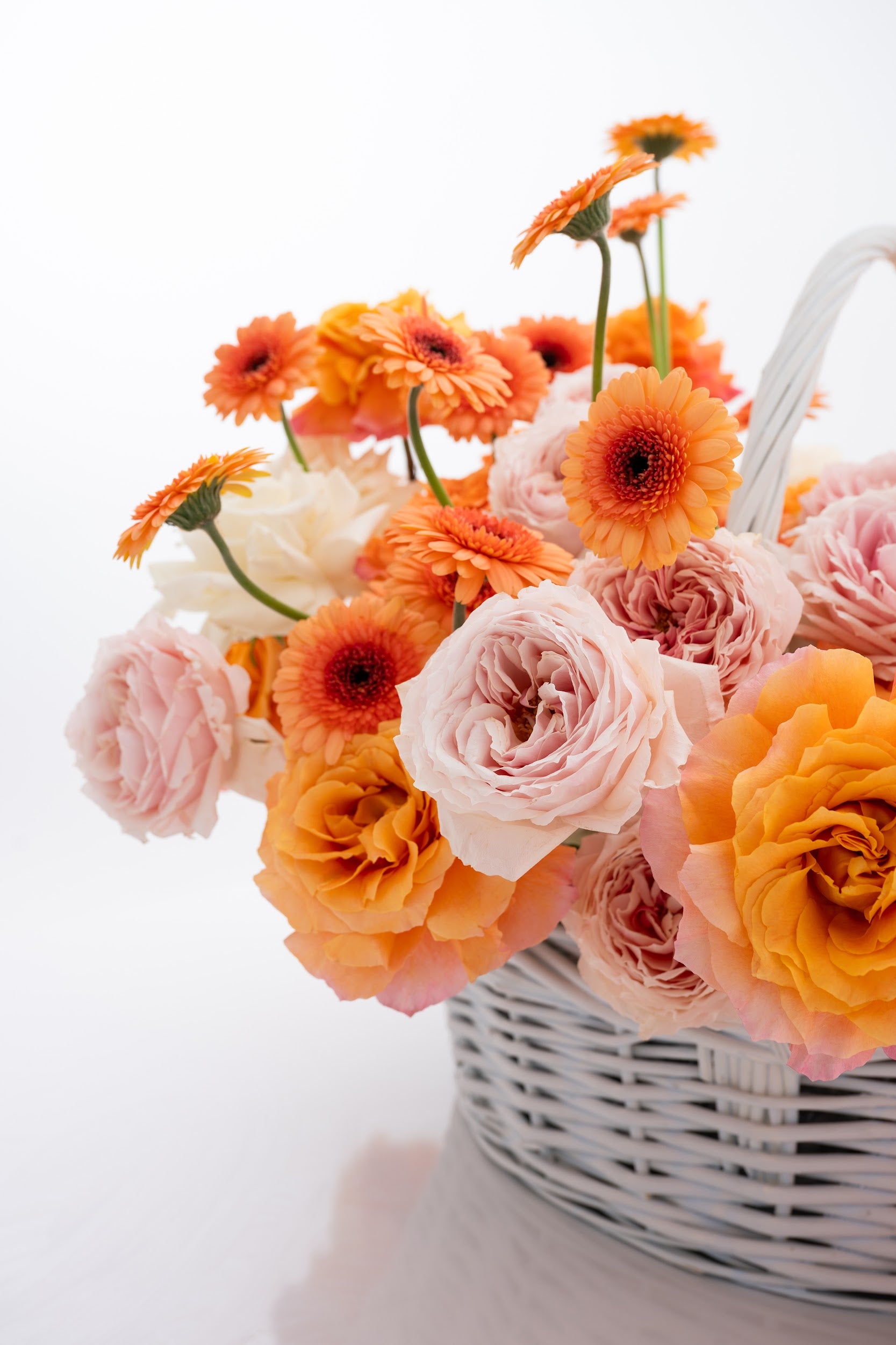 A vibrant basket of pink peony roses, gerberas, and white roses