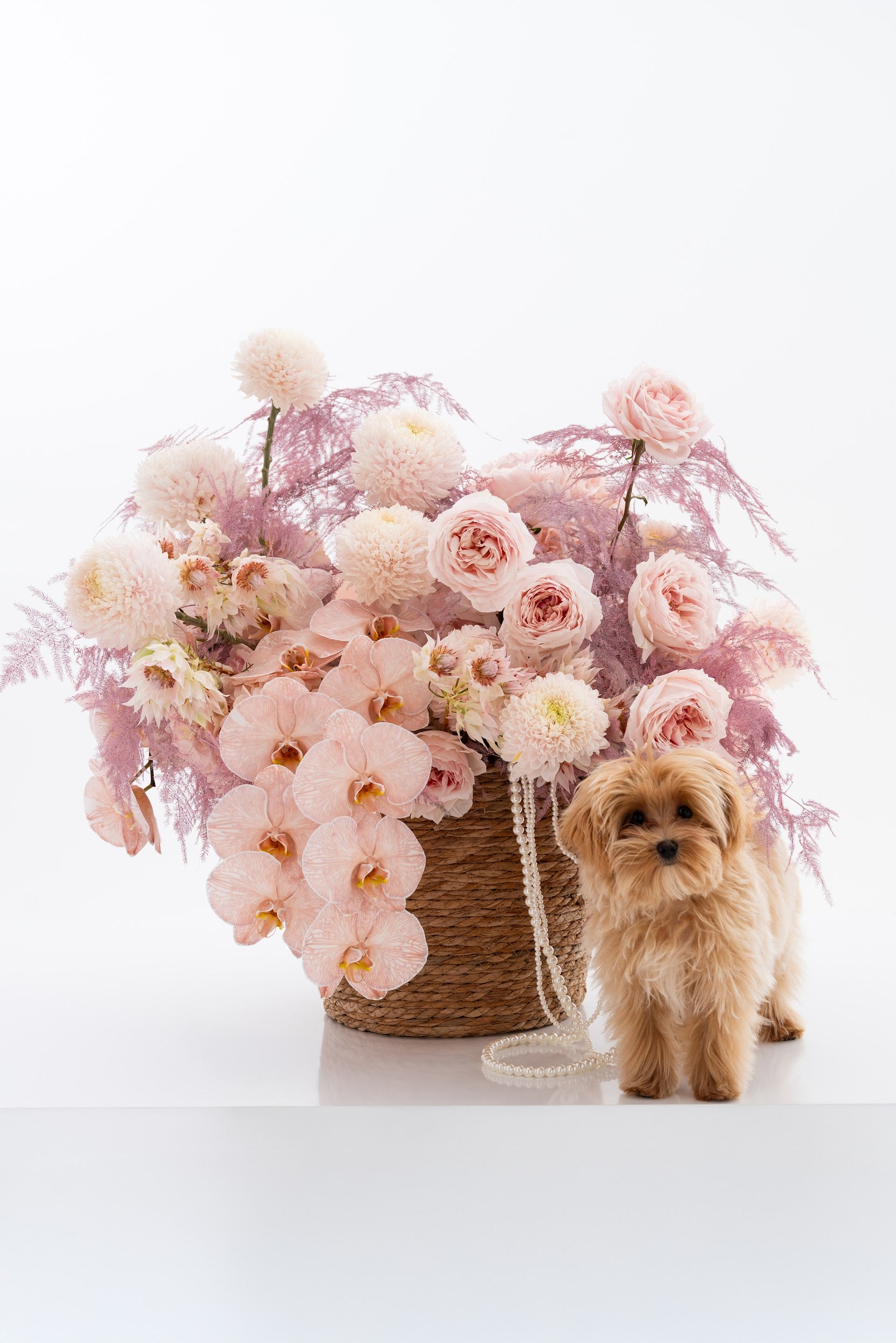 Tender Miracle Basket