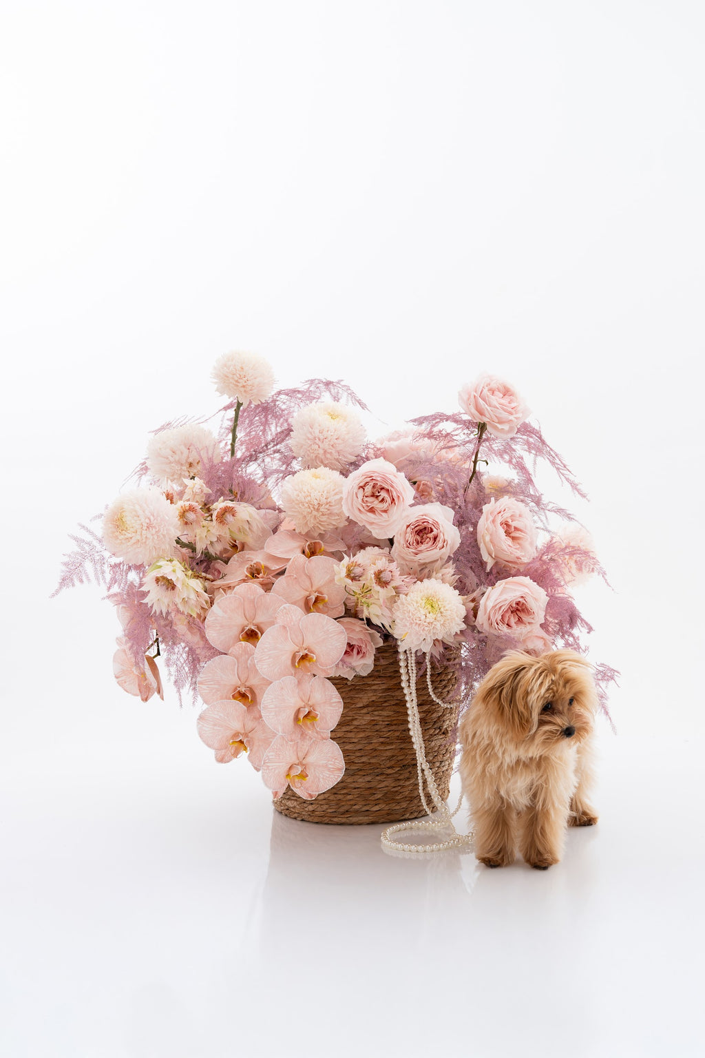 Tender Miracle Basket