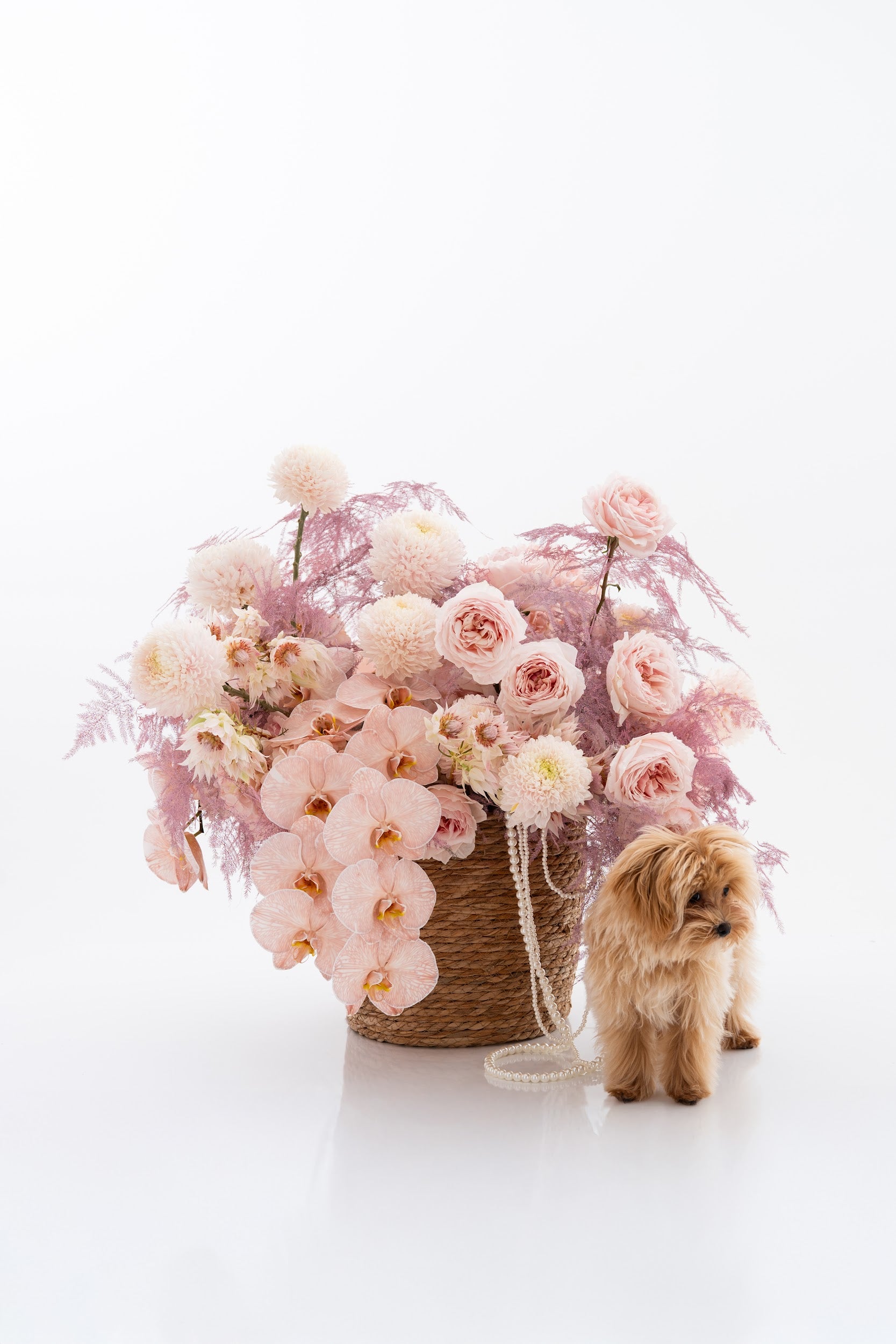 Tender Miracle Basket