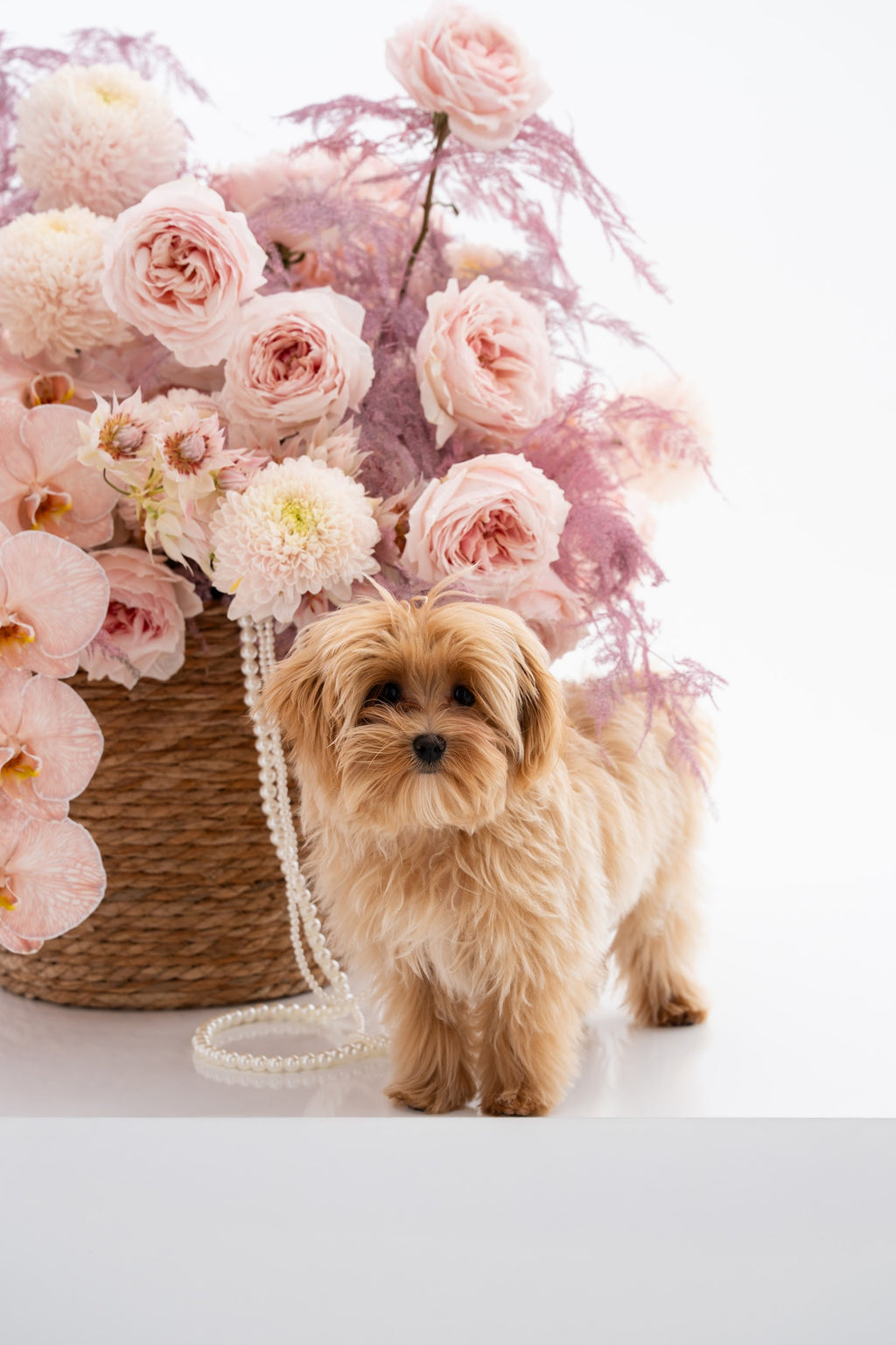 Tender Miracle Basket