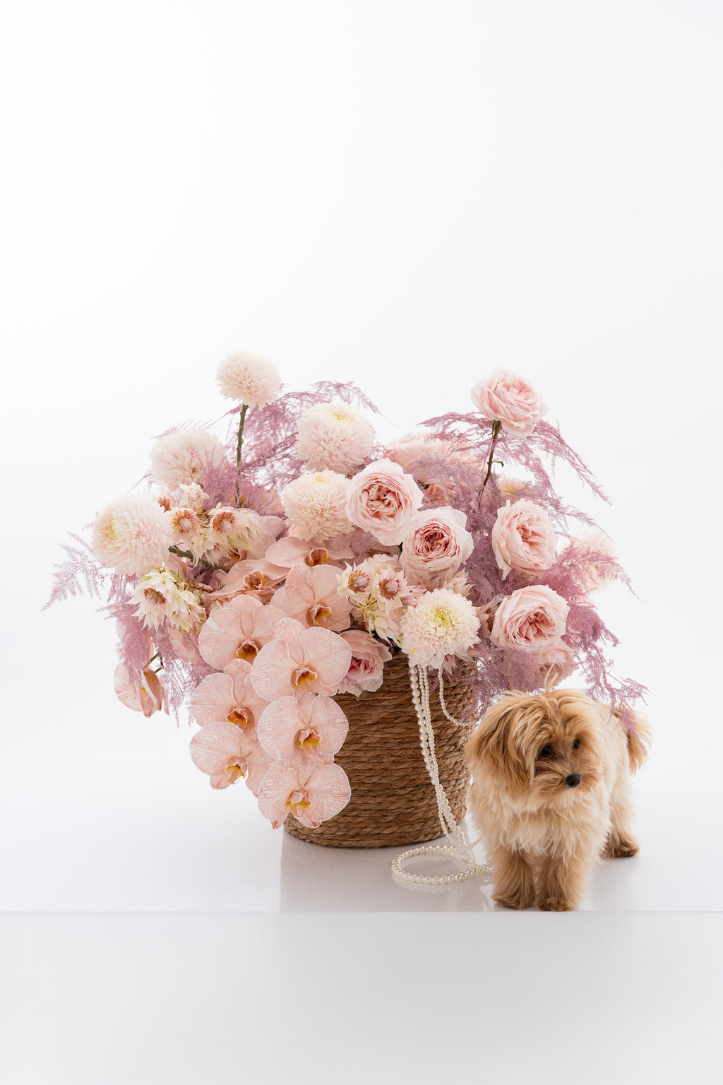 Tender Miracle Basket