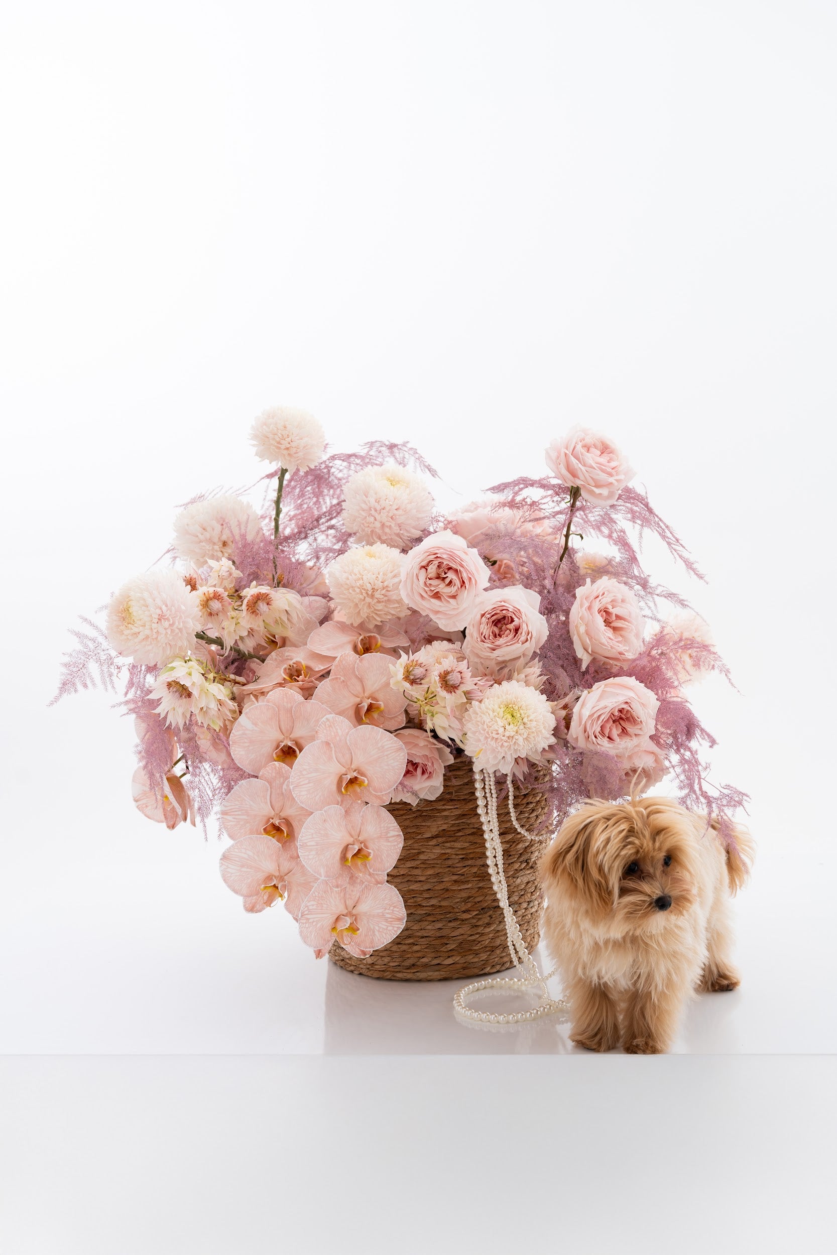 Tender Miracle Basket