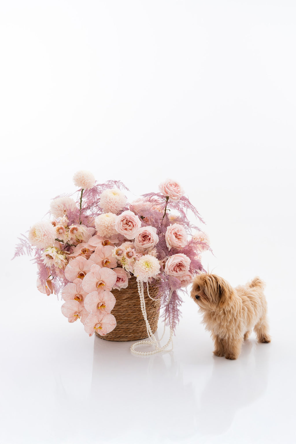 Tender Miracle Basket