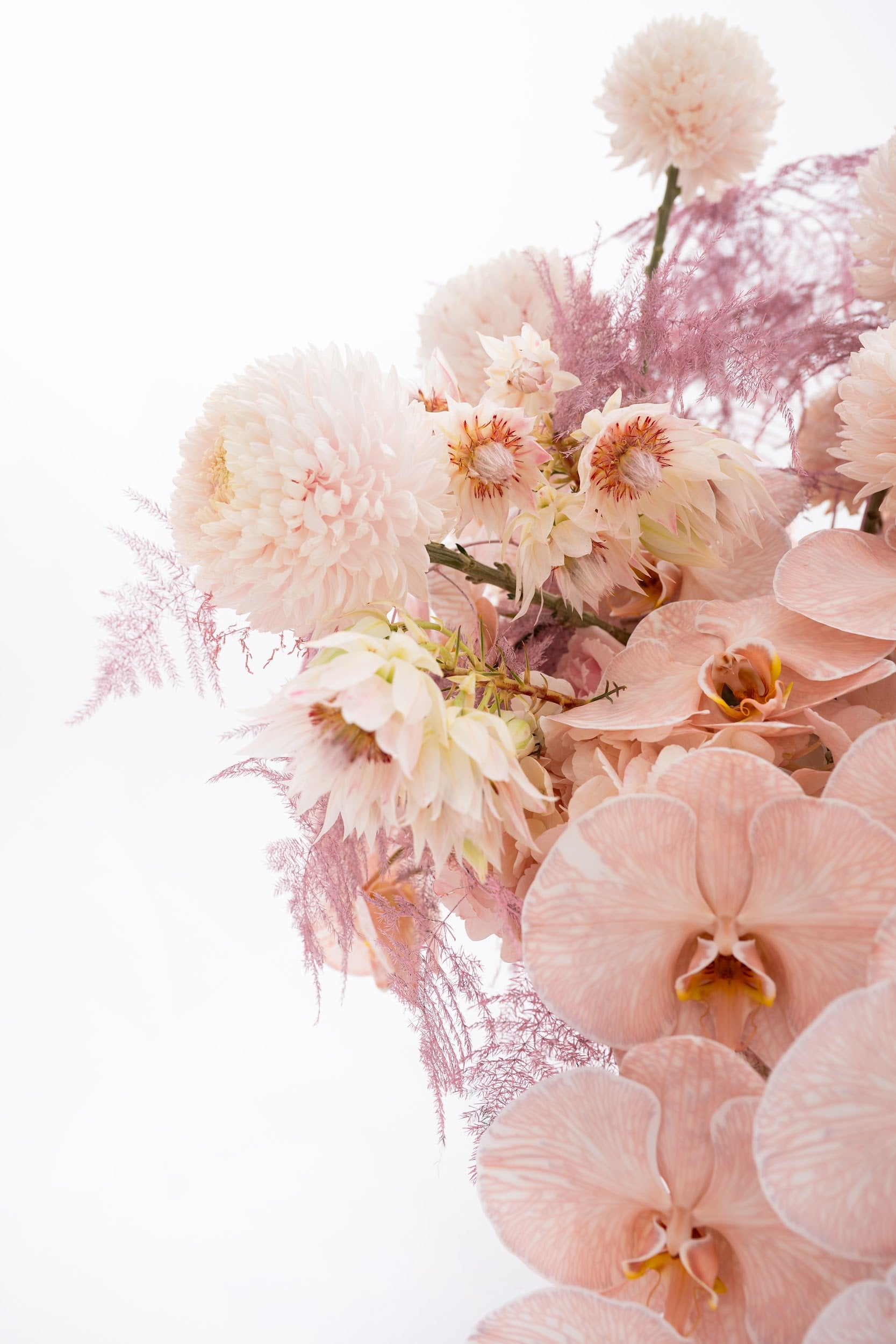 Tender Miracle Basket