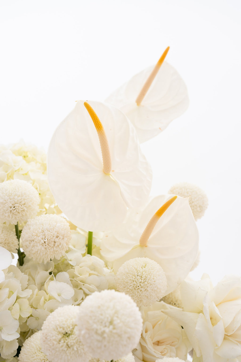 Delicate Basket with Roses, Orchids, Anthuriums & Chrysanthemums