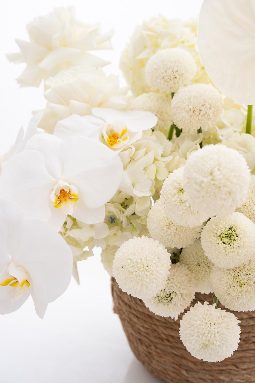 Delicate Basket with Roses, Orchids, Anthuriums & Chrysanthemums