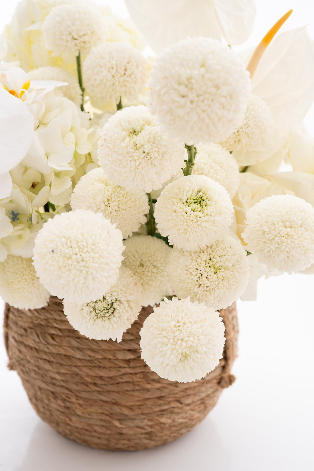 Delicate Basket with Roses, Orchids, Anthuriums & Chrysanthemums