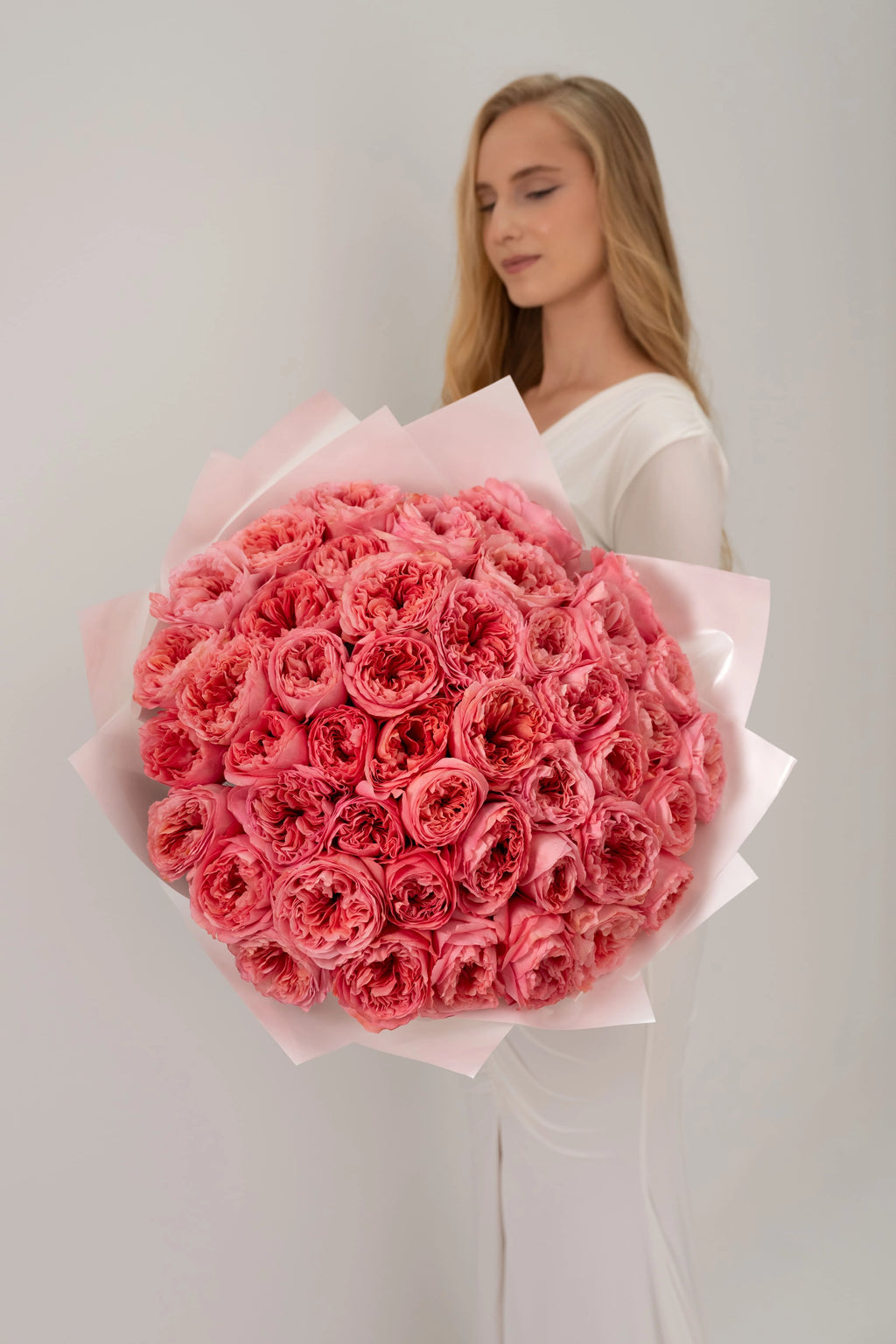 Peony roses Candy Expression