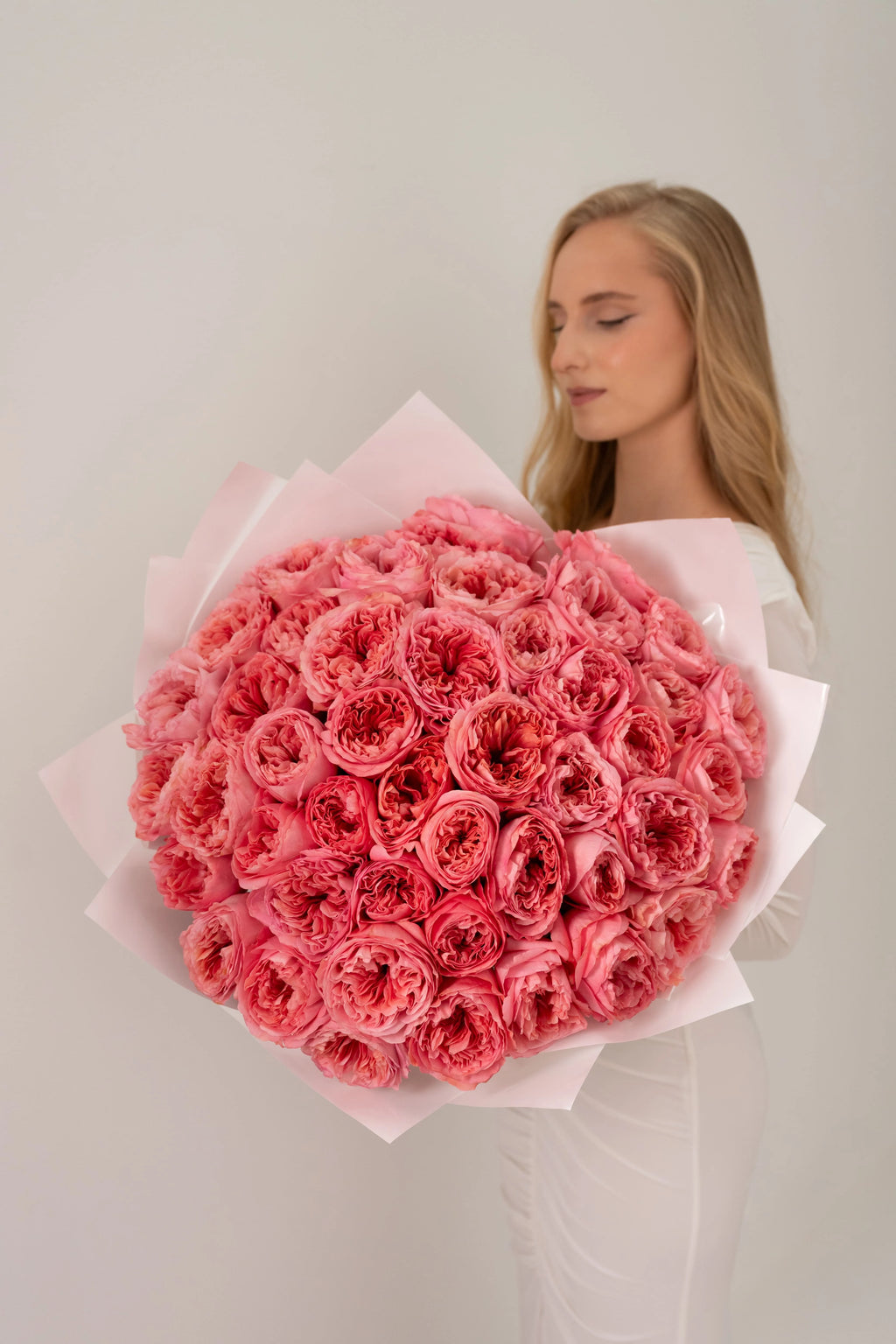 Peony roses Candy Expression